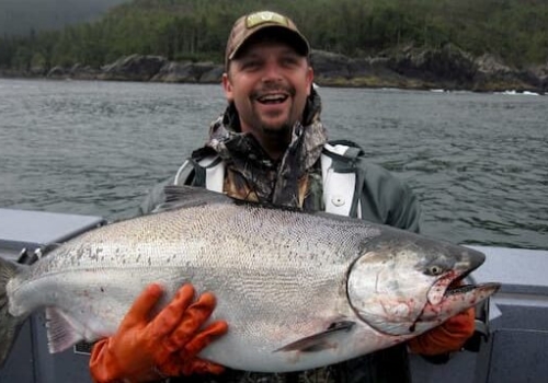 king salmon